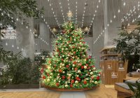 【玉川高島屋S.C.】クリスマス・イルミネーション情報／幻想的なオーロラの輝きや生木を使用したナチュラルで温かみあふれるクリスマスツリーが館内3か所に登場！