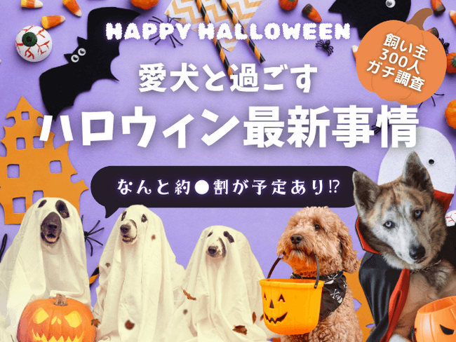 【飼い主400人に調査】●割が愛犬とのハロウィンに向けて準備中！リアルな過ごし方ランキングTOP5