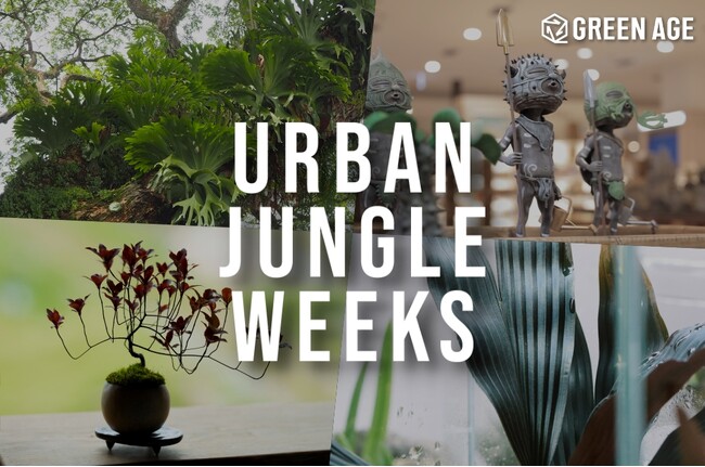 【阪急うめだ本店】世界中の珍奇植物に出会える3週間「URBAN JUNGLE WEEKS」開催！限定コラボや初登場など人気植物ブランドが集結