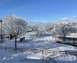真っ白な雪原が広がるたけはららキャンプジョー