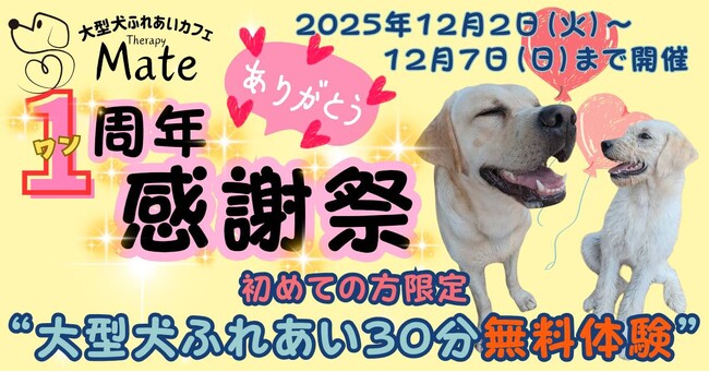 大型犬ふれあいカフェ「セラピーメイト」1周年記念キャンペーン！