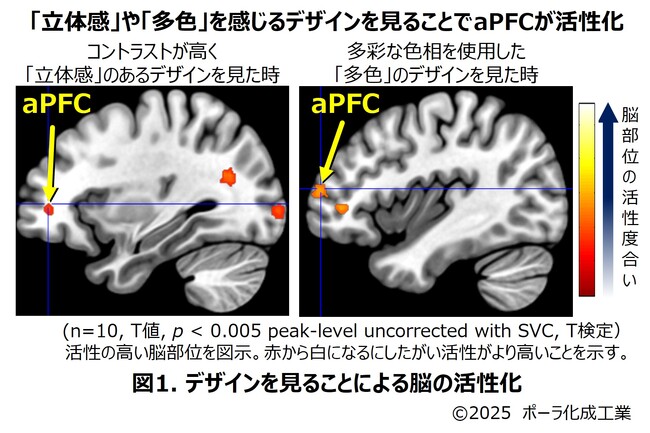 立体感や多色を感じるデザインが“五感で感じる魅力印象”を高める