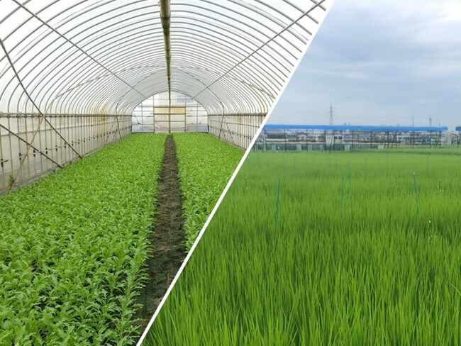 持続的社会の実現を目指し、土壌微生物機能制御・利用学に関する研究を開始