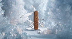 エレガンスと機能性を兼ね備えた冬限定モデル「クライマー ウィンターマジック リミテッドエディション 2025」を発売