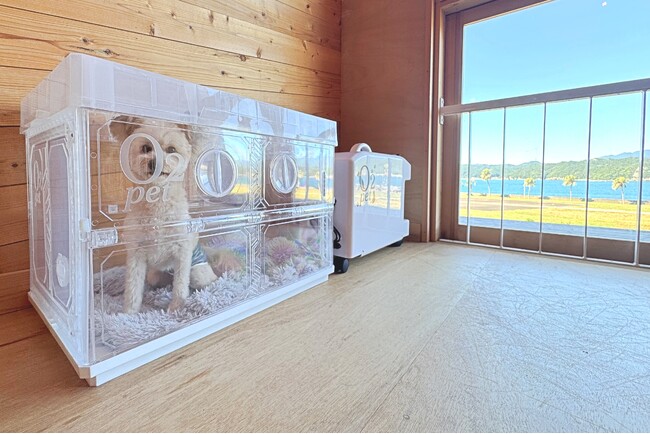 わんちゃんに至れり尽くせり！和歌山・太地町のグランピング施設 「グランオーシャンリュクス海熊野」が「ペット用酸素カプセル」を期間限定導入