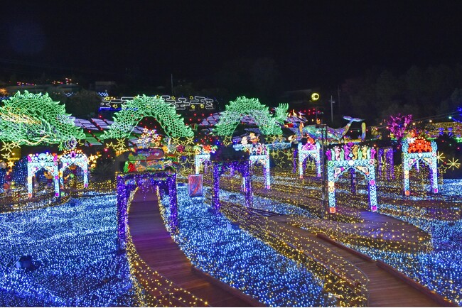 2025年11月7日（金）スタート！！ 日本初！体験型イルミネーション「伊豆高原グランイルミ ～11th SEASON～」