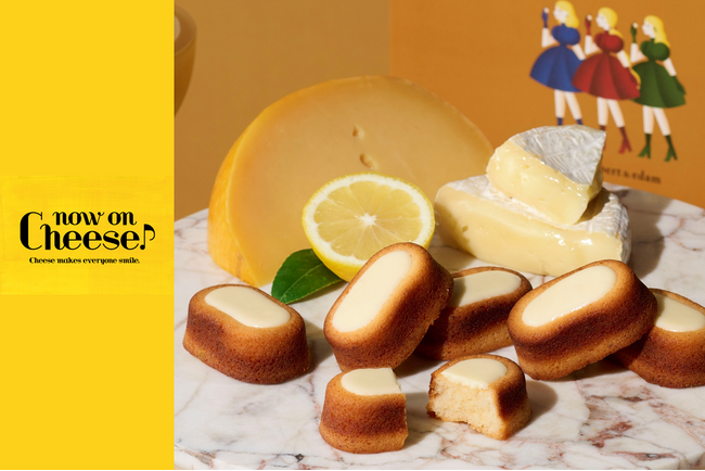 【期間限定出店】チーズスイーツ専門店「Now on Cheese♪」千葉県 高島屋柏店に登場！チーズ菓子専門店のこだわりチーズスイーツをご用意いたしました。