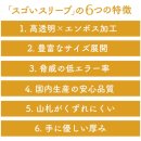 6つの特徴 6つの特徴