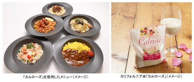 １週間、日替わりで楽しむバランスワンボウルで新しい発見を　期間限定で品川区大崎「雨晴食堂」ランチにカリフォルニア米「カルローズ」メニューが初登場！