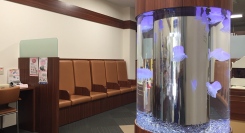 【愛知県限定】オフィス・医療・飲食店に“癒し”を。人工クラゲ水槽の無料導入相談を受付（〜12/7〈日〉）｜想芸館