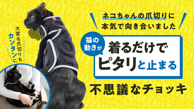 ネコちゃんの爪切りに本気で向き合い誕生！着るだけで動きが「ピタリ」と止まる不思議なチョッキをCAMPFIREにてお得に購入！