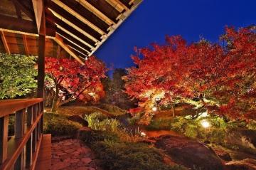 好古園「紅葉会」を開催します