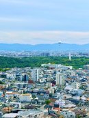 堺市役所からの眺め