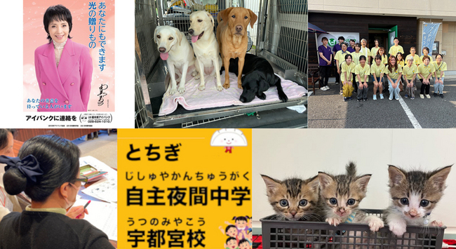 栃木県宇都宮市とさとふる、公益活動団体を支援し市民協働のまちづくりを推進するため、5事業の寄付受け付けを開始