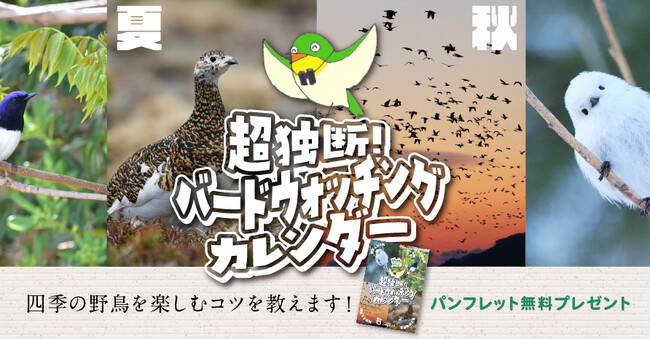 バードウォッチングの一年がわかる！パンフレット『超独断！バードウォッチングカレンダー』を無料プレゼント！