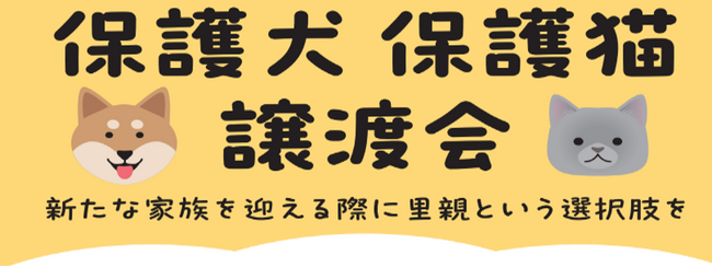 保護犬・保護猫の譲渡活動が拡大中！2025年11月　綿半店舗開催の譲渡会スケジュールが決定！