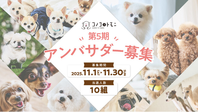 このこのごはんシリーズ累計販売数380万袋（※）突破のペットフードブランド《コノコトトモニ》、第5期公式アンバサダーを大募集！【株式会社ゆずず】
