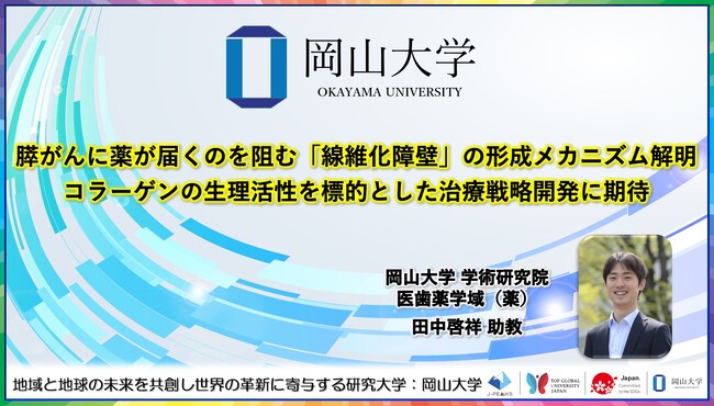 【岡山大学】膵がんに薬が届くのを阻む「線維化障壁」の形成メカニズム解明：コラーゲンの生理活性を標的とした治療戦略開発に期待