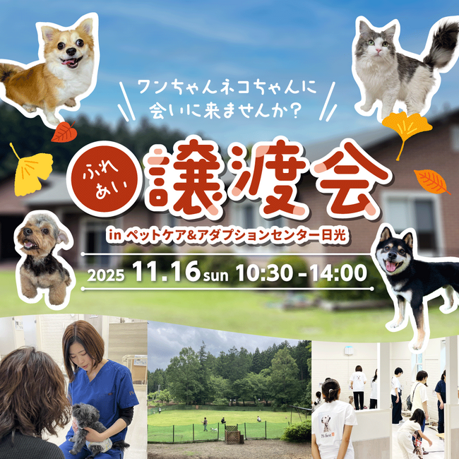 2025年11月16日（日）ペッツファーストグループ「ふれあい譲渡会」開催のお知らせ　in ペットケア＆アダプションセンター日光
