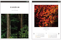 2026年オリジナルカレンダー「住友林業の森」　抽選で400名様にプレゼント　応募締切：2025年11月22日（土）
