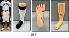 【中部大学】炎天下における野球で白色の靴・靴下・ストッキングが熱中症リスクを軽減─ 下肢着用品の色の組み合わせを変えた実験データで明瞭な違いが判明 ─