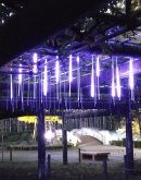 藤棚にLED電球でフジの花を再現