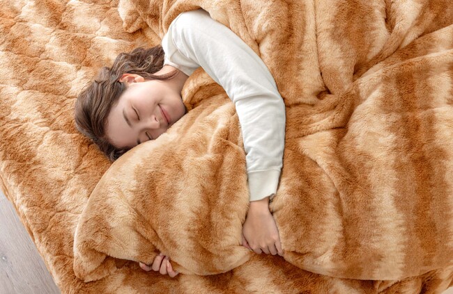 猫好き必見！人気シリーズ『もはや、ねこ。』に新たに“カバーになる毛布”が登場！より一層猫に包まれる冬に