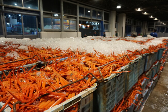 境港の海産物を全国へ。境港卸売業「魚魚魚（うぉううぉううぉう）」と業務提携開始のお知らせ