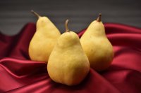 11/20(木)出荷解禁 「ル レクチエ」のブランド定着・消費拡大を図るため首都圏のホテルや飲食店、百貨店等とタイアップしたＰＲを実施します