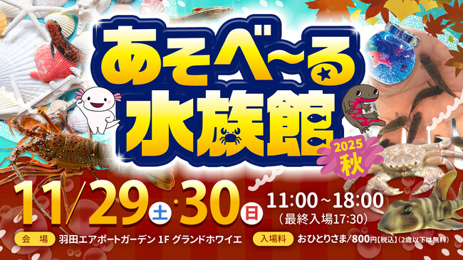 触れ合って学べる水族館イベント！『あそべ～る水族館』、「羽田エアポートガーデン」で開催