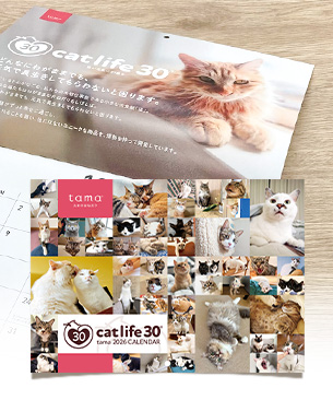 「tamaオリジナルカレンダー2026」をプレゼント（先着6,000部）