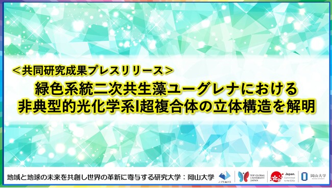 緑色系統二次共生藻ユーグレナにおける非典型的光化学系I超複合体の立体構造を解明〔静岡大学, 岡山大学, 北海道大学〕
