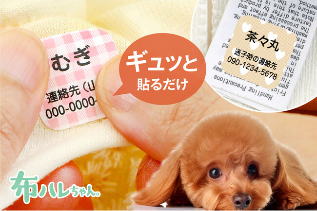 新感覚のペット迷子札「わんにゃん迷子シール」愛犬や愛猫のお洋服にギュッと貼るだけ5秒で完了！