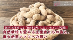サイズは通常の落花生の約2倍！“落花生の王様”こと「おおまさり」にまつわるコラムが公開。自然栽培を愛する生産者たちの姿と、直火焙煎ナッツへの想い