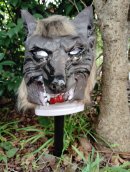 猛獣ブロック 設置正面 猛獣ブロック 設置正面