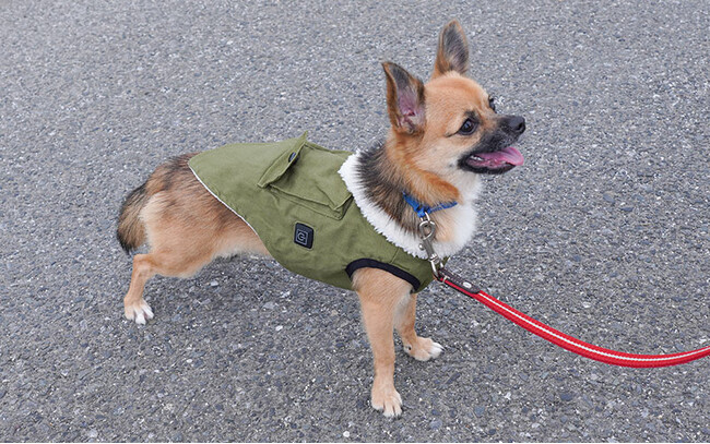 真冬のお散歩も陽だまりのような暖かさを。大好きなお散歩が冬でも快適に『愛犬用ヒーターベスト「ワンだふるウォーム」』を発売
