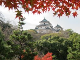 紅葉に染まる、秋の和歌山城 紅葉に染まる、秋の和歌山城