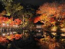 西之丸庭園の紅葉 西之丸庭園の紅葉