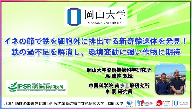 【岡山大学】イネの節で鉄を細胞外に排出する新奇輸送体を発見！鉄の過不足を解消し、環境変動に強い作物に期待