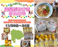 「山梨だいすき5DAYS～県民の日から始まるもっと山梨を好きになる5日間～」＼県民の日～11月3連休は「道の駅なんぶ」に行こう！／