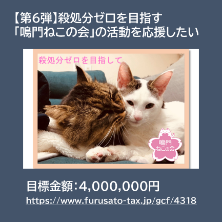 【徳島県 鳴門市役所】ガバメントクラウドファンディングに挑戦中!!