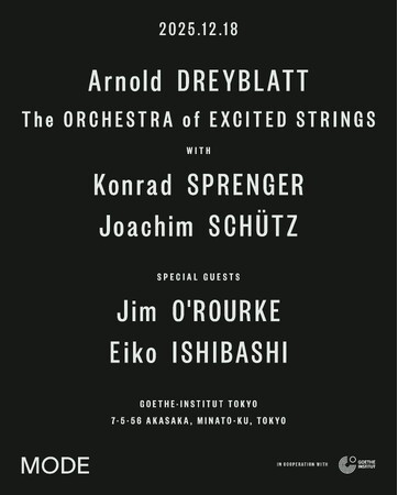 Arnold Dreyblatt & The Orchestra of Excited Strings