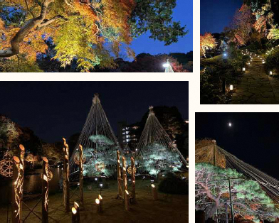 熊本ゆかりの地で幻想的な紅葉やイベントを期間限定で楽しめる「秋の紅葉ライトアップ-ひごあかり-」「漱石山房記念館」で竹あかり展示
