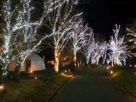 イルミネーションナイト2025 イルミネーションナイト2025