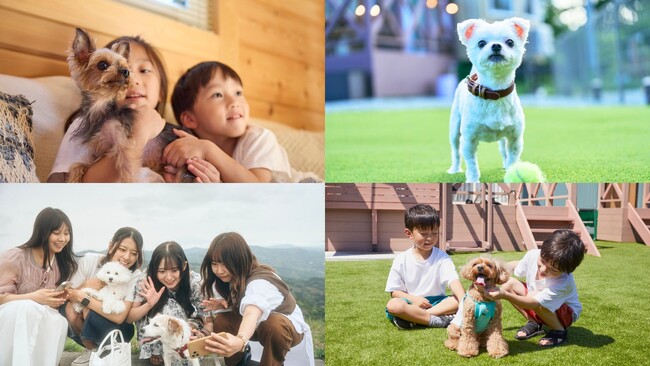 ワンちゃんと楽しむ体験イベント『Fan Fun Day 2025』人気のペット撮影スタジオやショップなどコラボ企業が続々決定