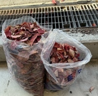 長野にて清掃ボランティア活動を実施 ～ サイエントロジー・ボランティア・ミニスター飯田支部による地域美化 ～