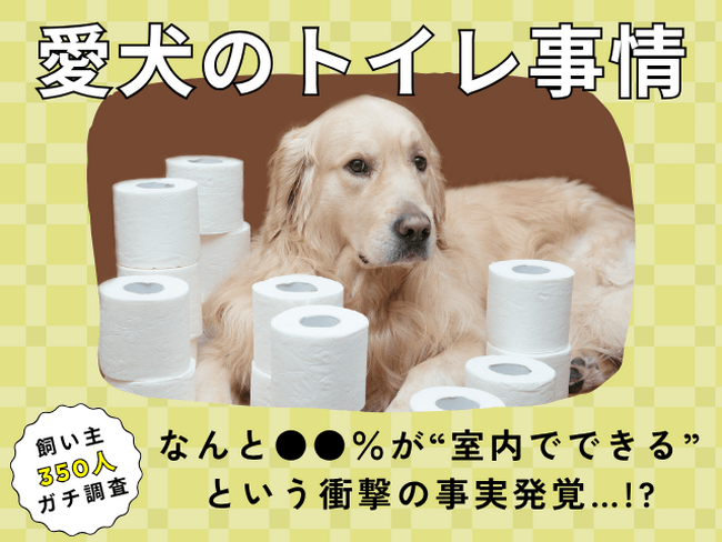 【飼い主350人に調査】犬のトイレ事情が激変!●●%が“室内トイレ派”という衝撃データ