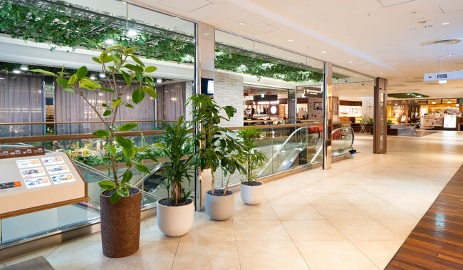 TUIN greenery ルミネ池袋で館内植栽のレンタルを実施