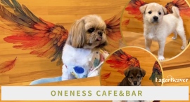 手話と保護犬が繋ぐ新しい支援のカタチ。大阪「ONENESS CAFE＆BAR」と大学生発チャリティーアパレルブランドEager Beaverがコラボアパレル発売