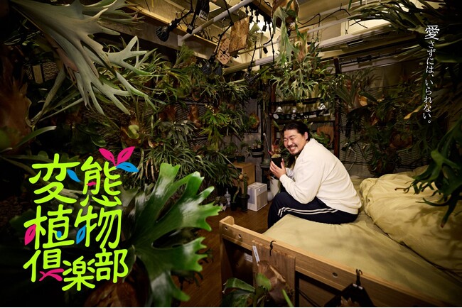 一ノ瀬ワタルが、珍奇で奇怪な植物に熱狂！“美しさと偏愛の世界”に迫る異色の植物ドラマ「変態植物倶楽部」12月深夜スタート！